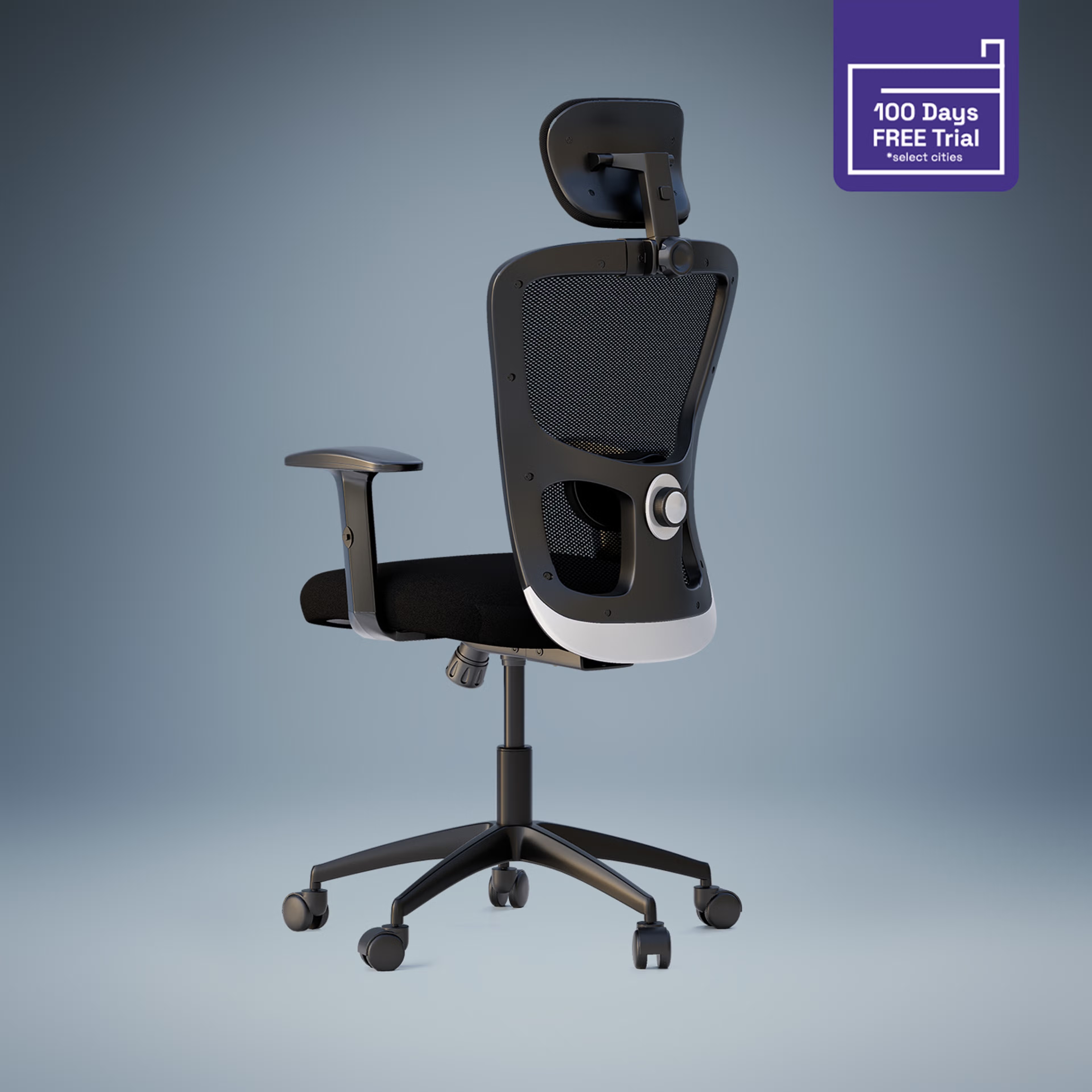 Albus Pro Highback Class 4 Gaslift Nylon Base with Soft PU Pad Multi Lock Ergonomic Office Chair Black - 2025 2025 Edition, Black, Multi Lock, Nylon Base, High Back