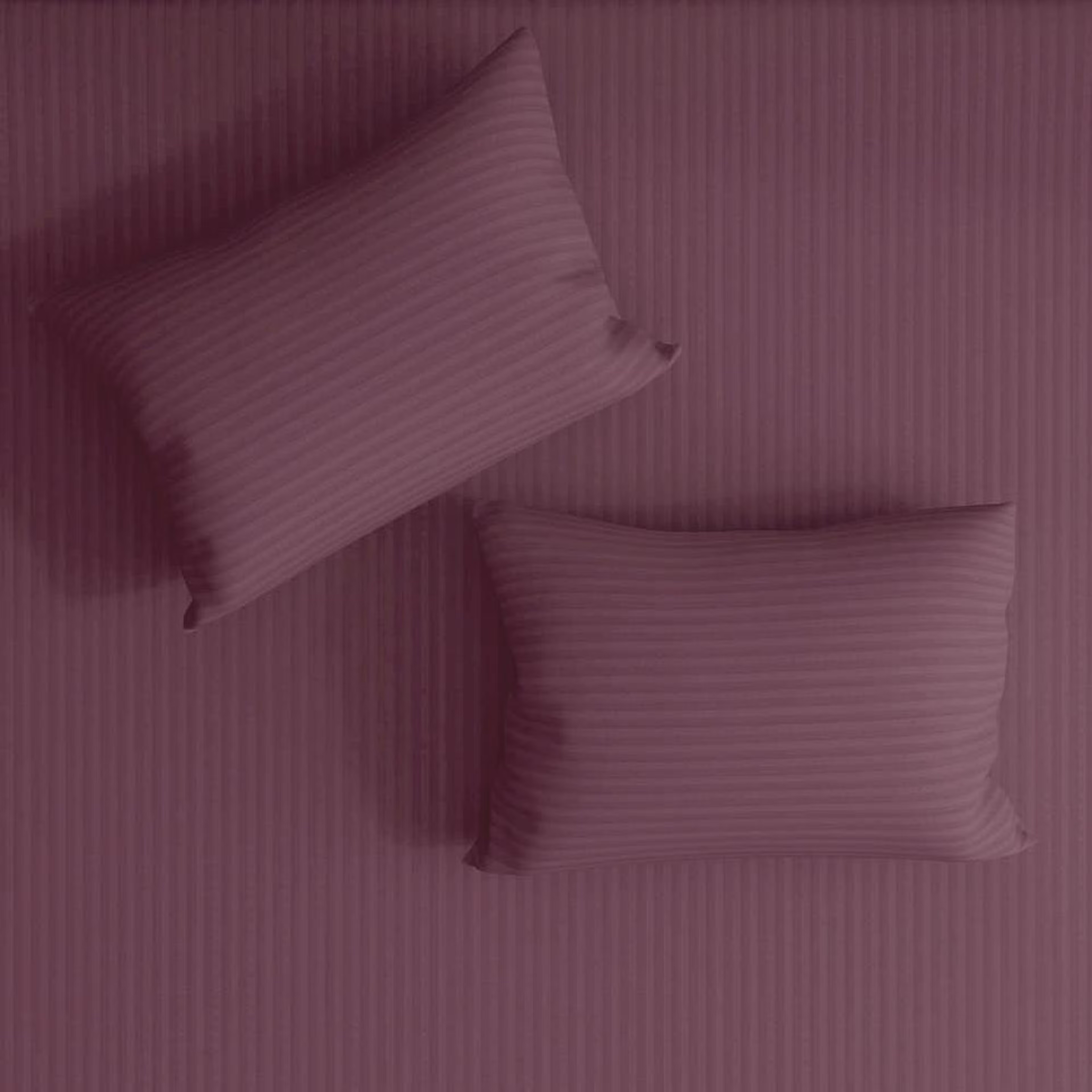 Wakefit 100% Cotton 215 TC Fitted Bedsheet With 2 Pillow Cover | Dry Rose King - 75" x 72\