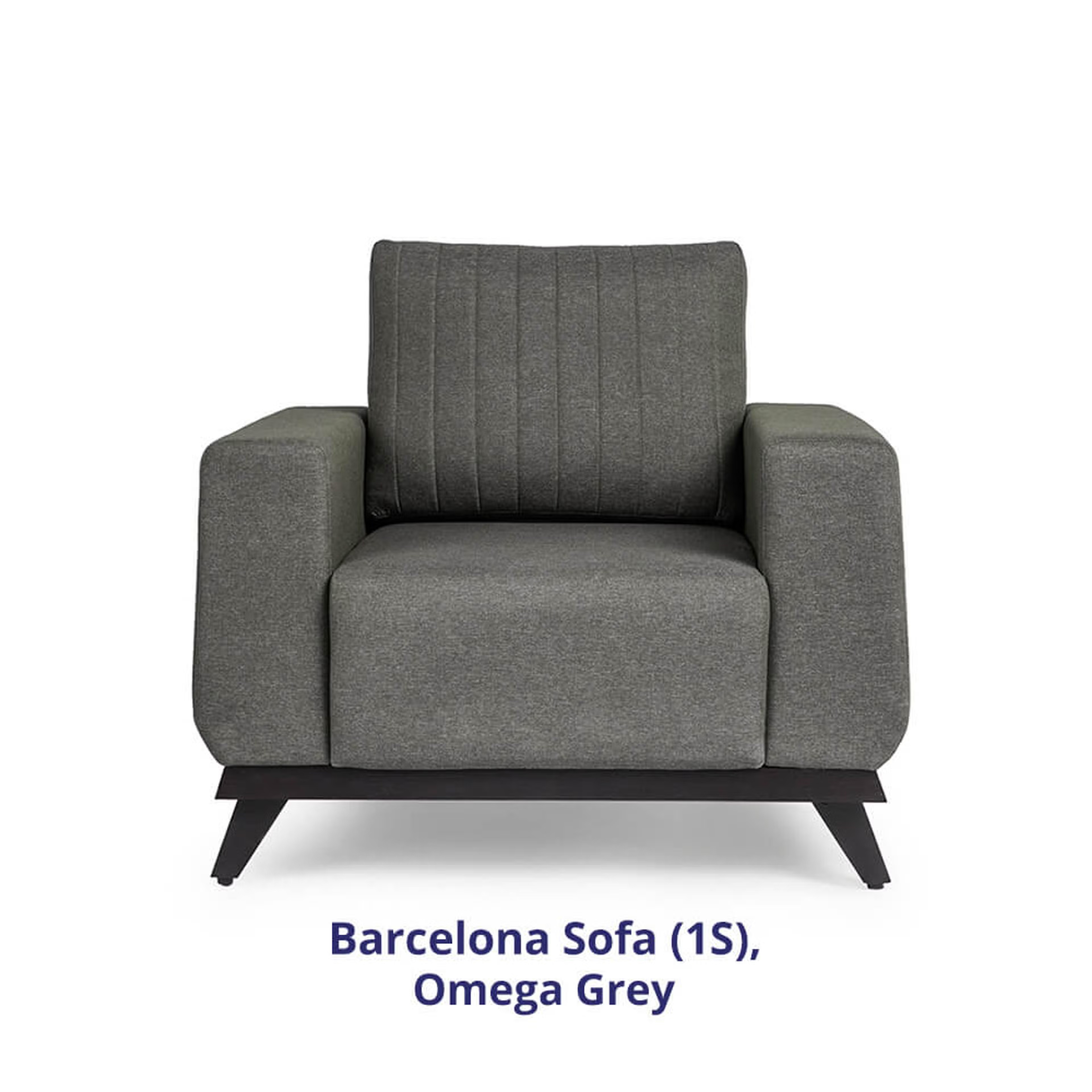 Wakefit Barcelona Sofa - One Seater Regular, Single Seater, Omega Grey