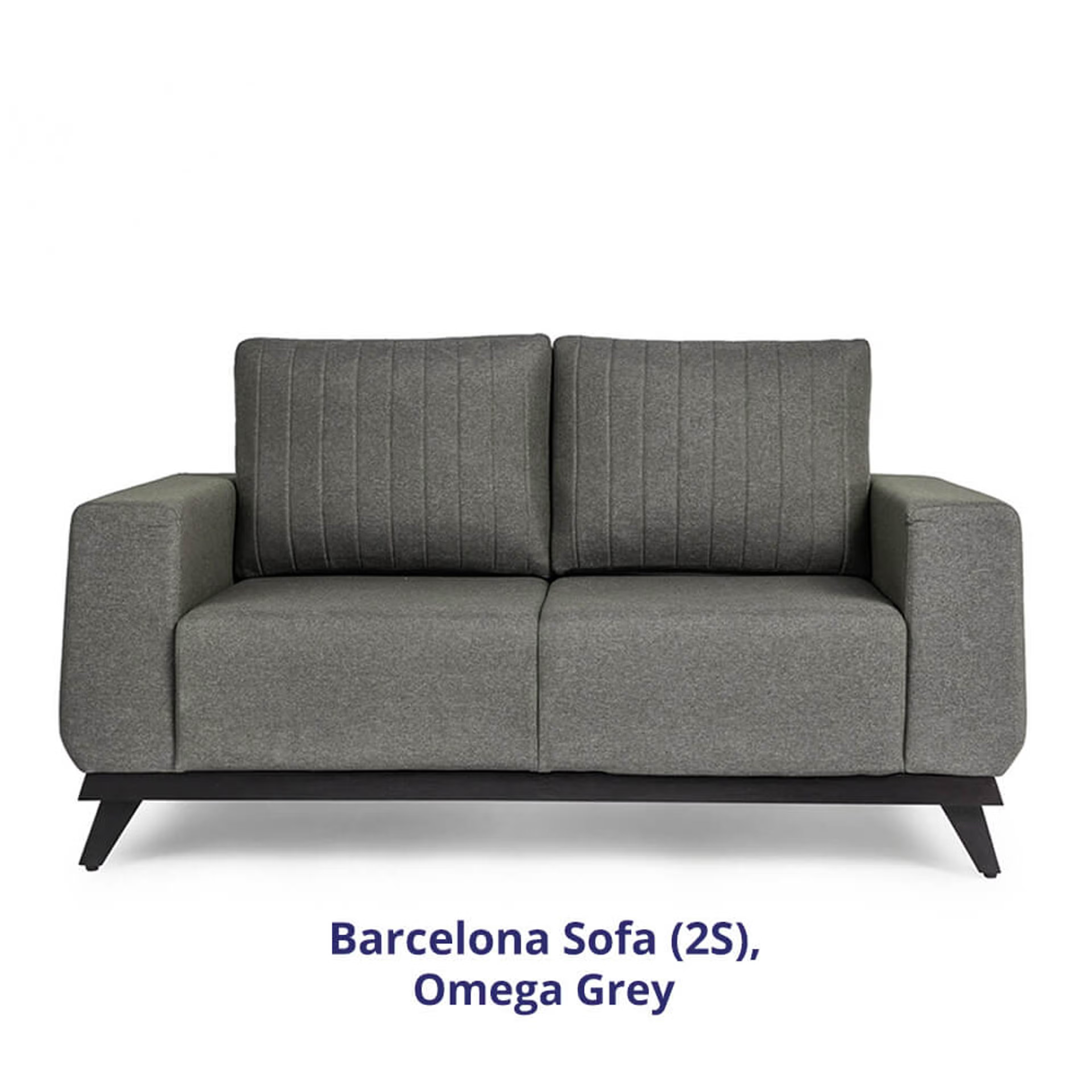 Wakefit Barcelona Sofa - Two Seater Regular, Two Seater, Omega Grey