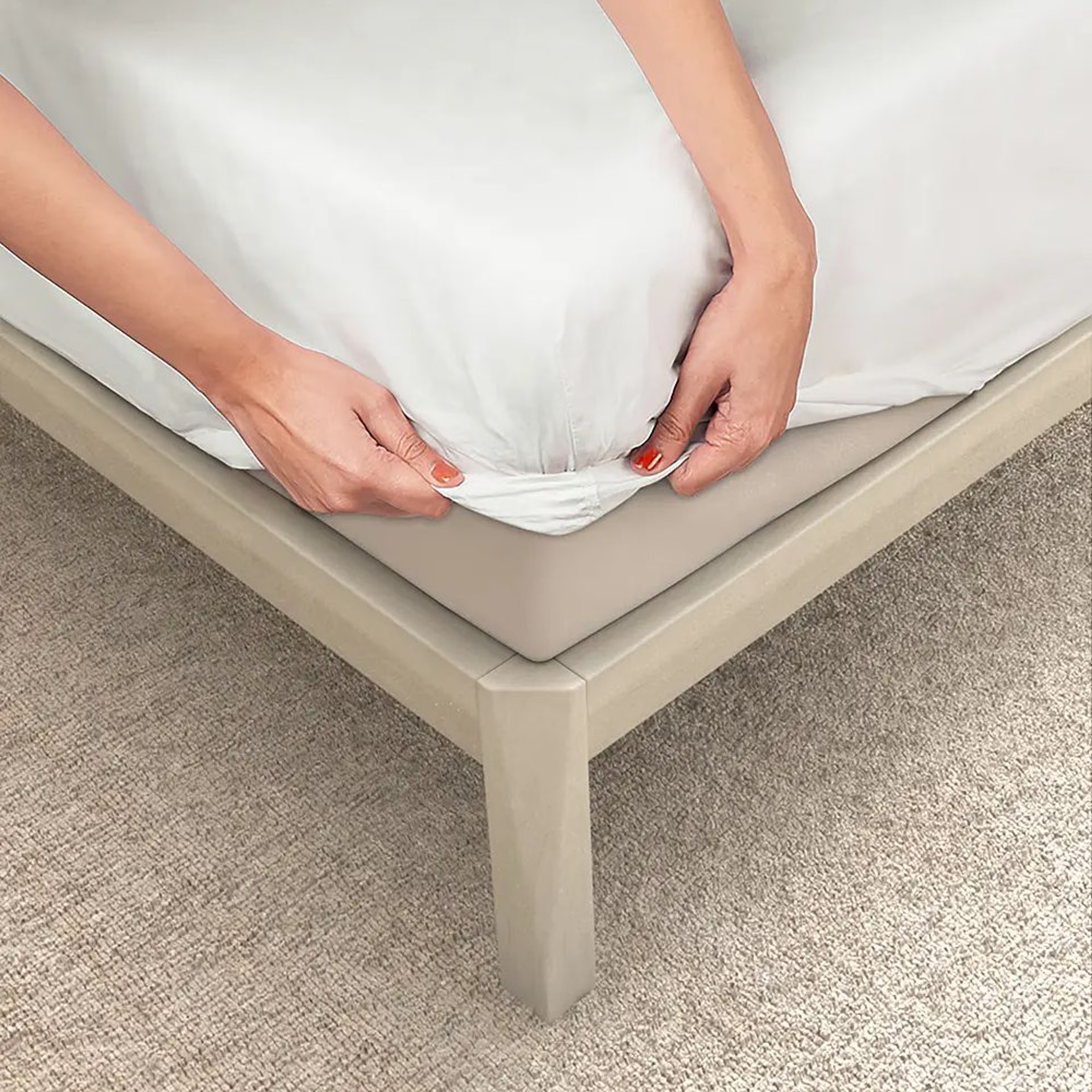 100% Cotton 200 TC Fitted Bedsheet With 1 Pillow Cover | Flora Single, 72" x 30", Flora| 1.83m x 76cm Single - 72" x 30 10 100% Cotton 200 TC Fitted Bedsheet With 1 Pillow Cover | Flora Single, 72" x 30", Flora| 1.83m x 76cm Single - 72" x 30\