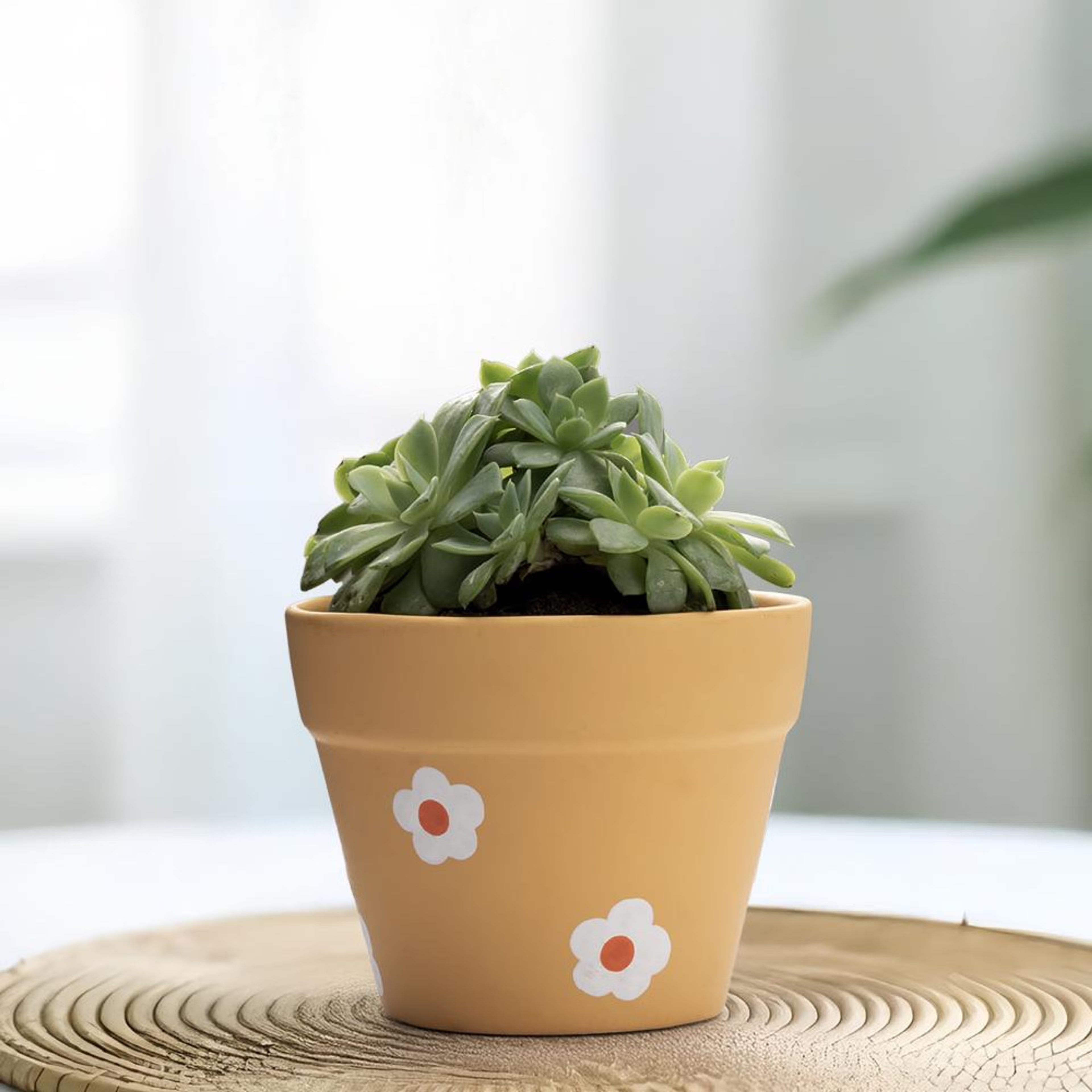 Home 37 Ceramic Table Top & Floor Planter | Indoor & Outdoor Garden Pot | Peach | 4 Inch Pot | Ruel Pot Ceramic, Peach, Set of 1