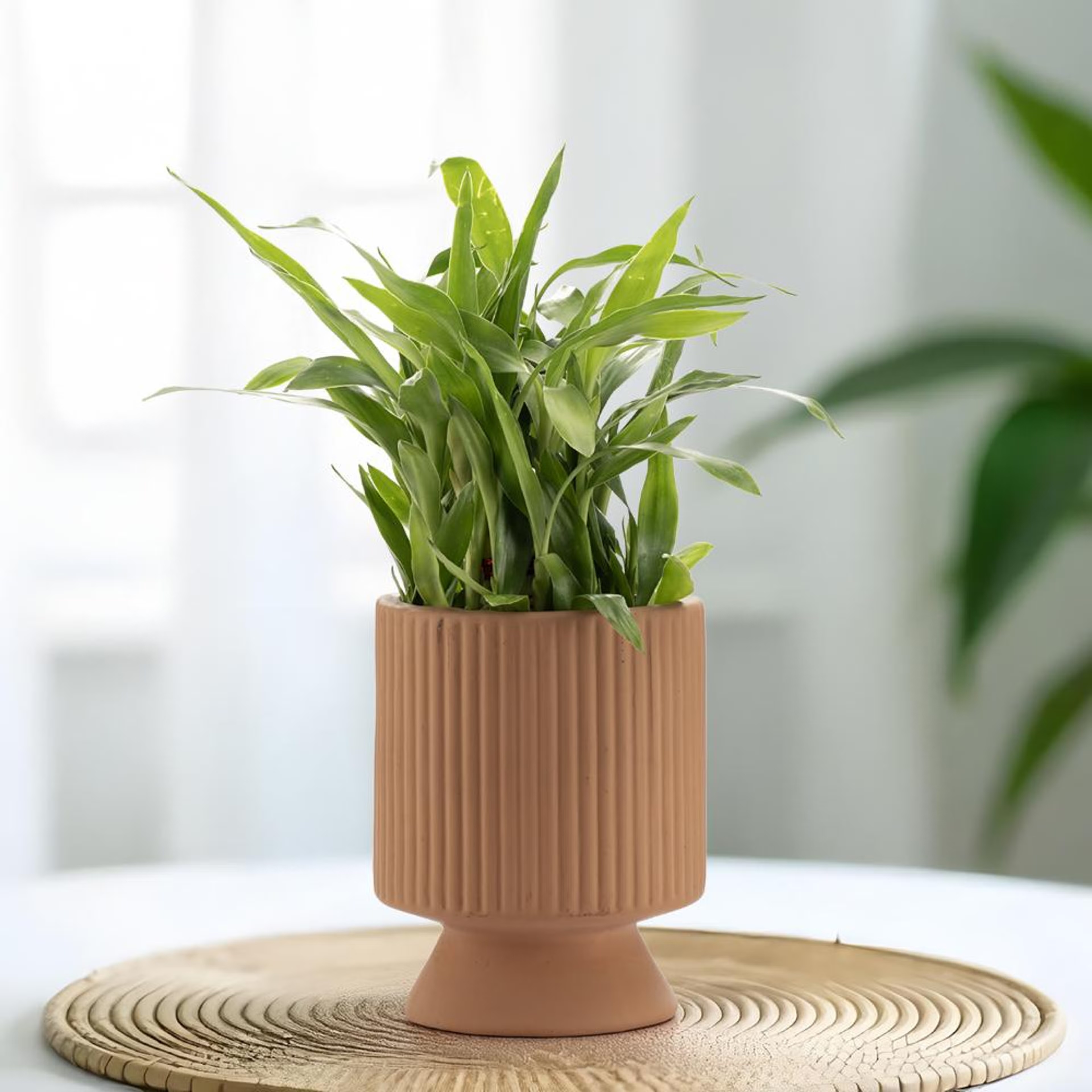Ceramic Table Top & Floor Planter | Indoor & Outdoor Flower Pot | Brown | 6 Inch Pot | Vanda Pot Ceramic, Brown, Set of 1
