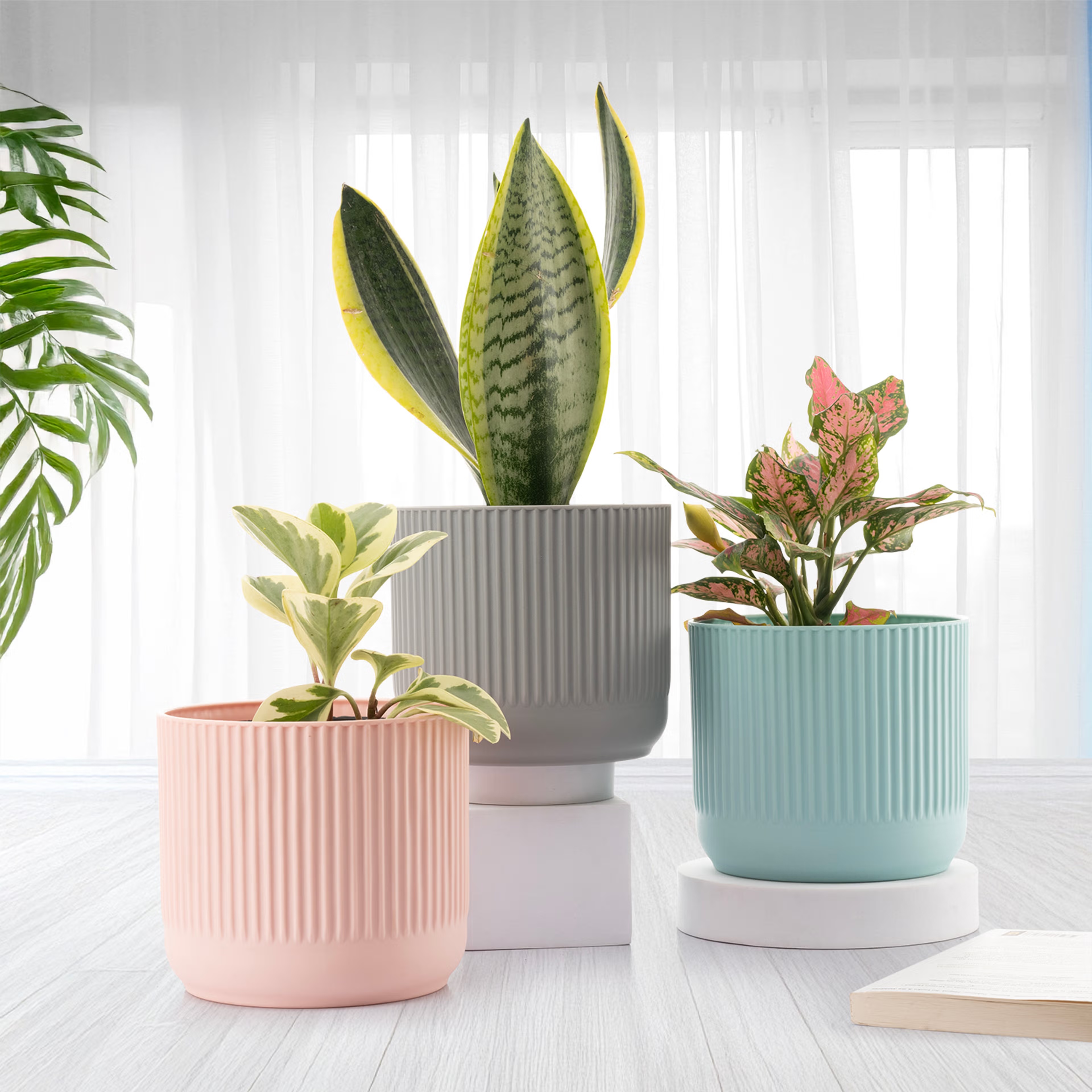 Plastic Table Top & Floor Planter | Indoor & Outdoor Use | Set of 3 | 6 Inch Pot | Multicolor Botani Flower Pot Plastic, Multicolor, Set of 3