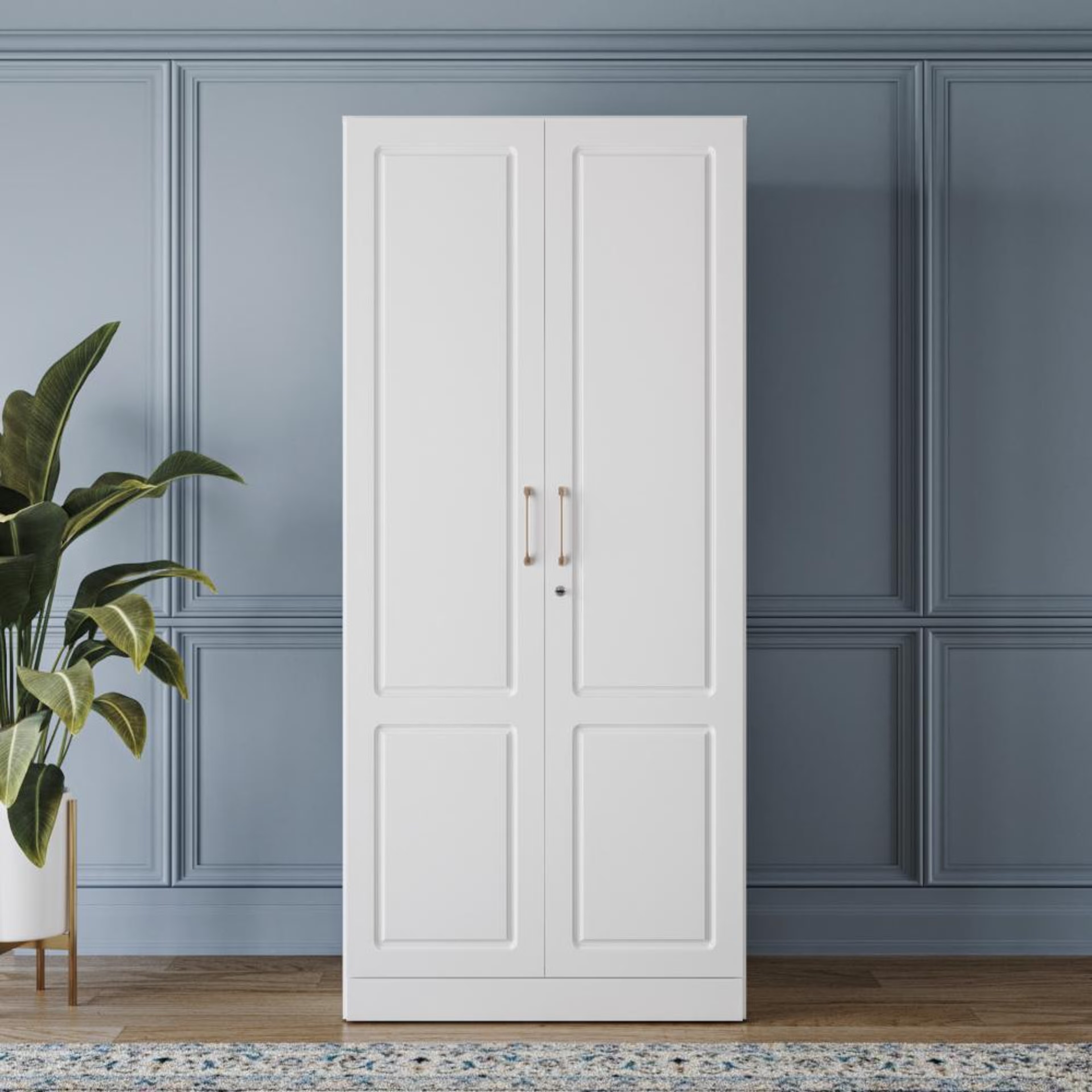 Tyrian 2 Door with 2 Shelves ,1 Drawer 1 , Hanging Area & 1 Carcass Frosty White Shutter | Without Mirror | ( White) 2 Door, 2 Shelves, 1 Drawer, Without Mirror, 1 Hanging Area, Shutter Design 1, Frosty White