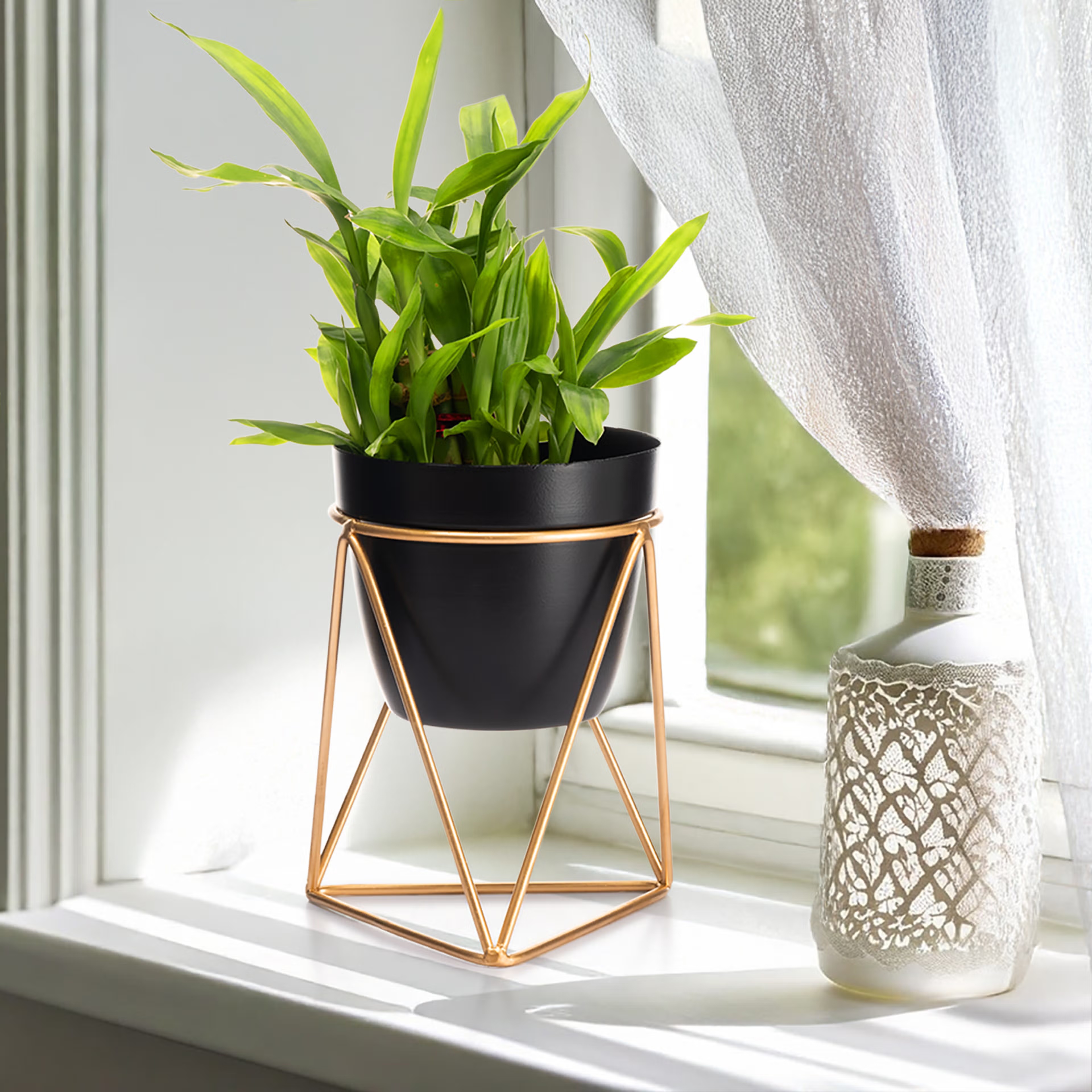 Table Top Metal Flower Pot | Indoor Planter With Stand | Charcoal Black | Claymore Metal, Black, Set of 1