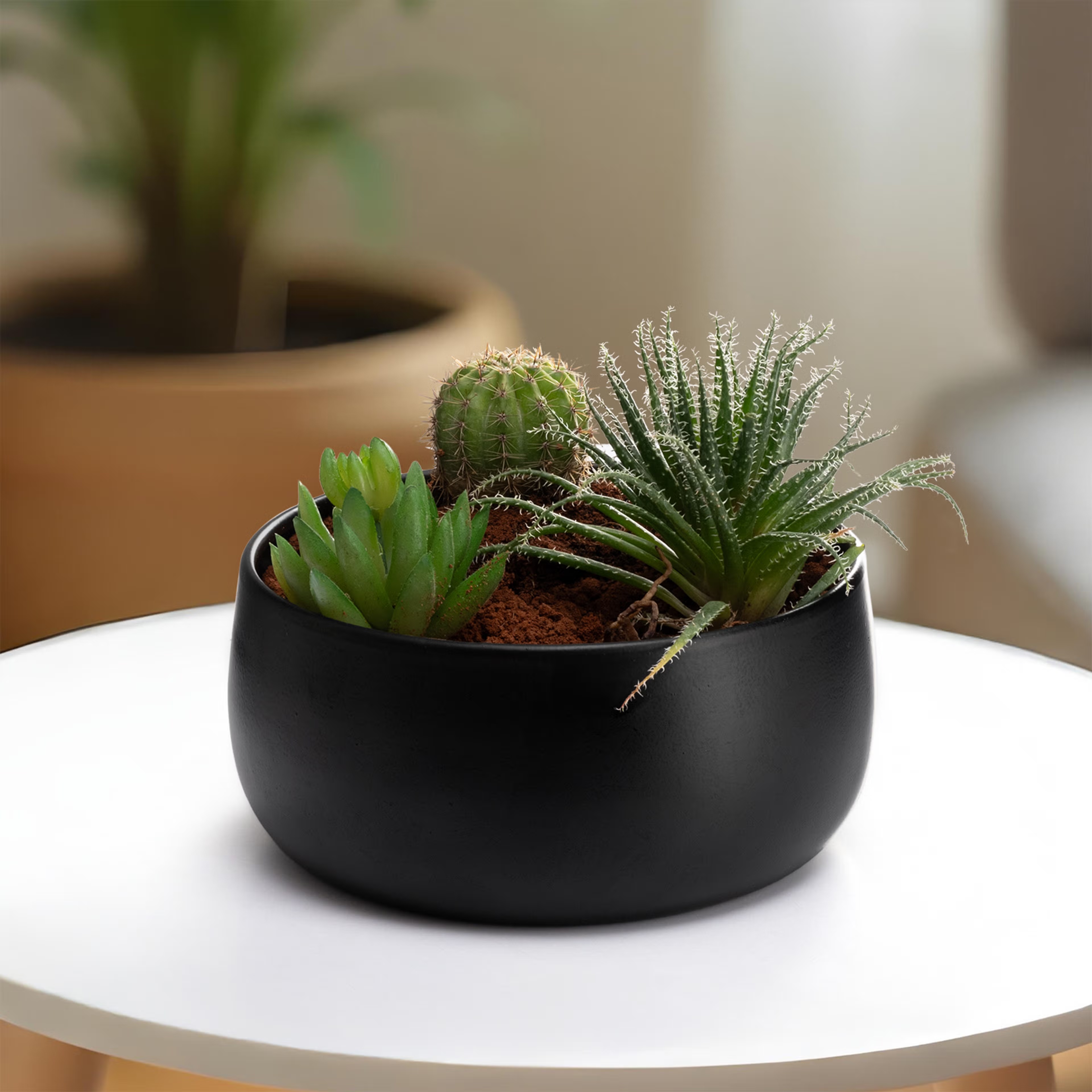 Versatile Metal Garden Pot | Floor & Table Planter | Indoor & Outdoor Use | Jet Black | Foliage Metal, Black, Set of 1