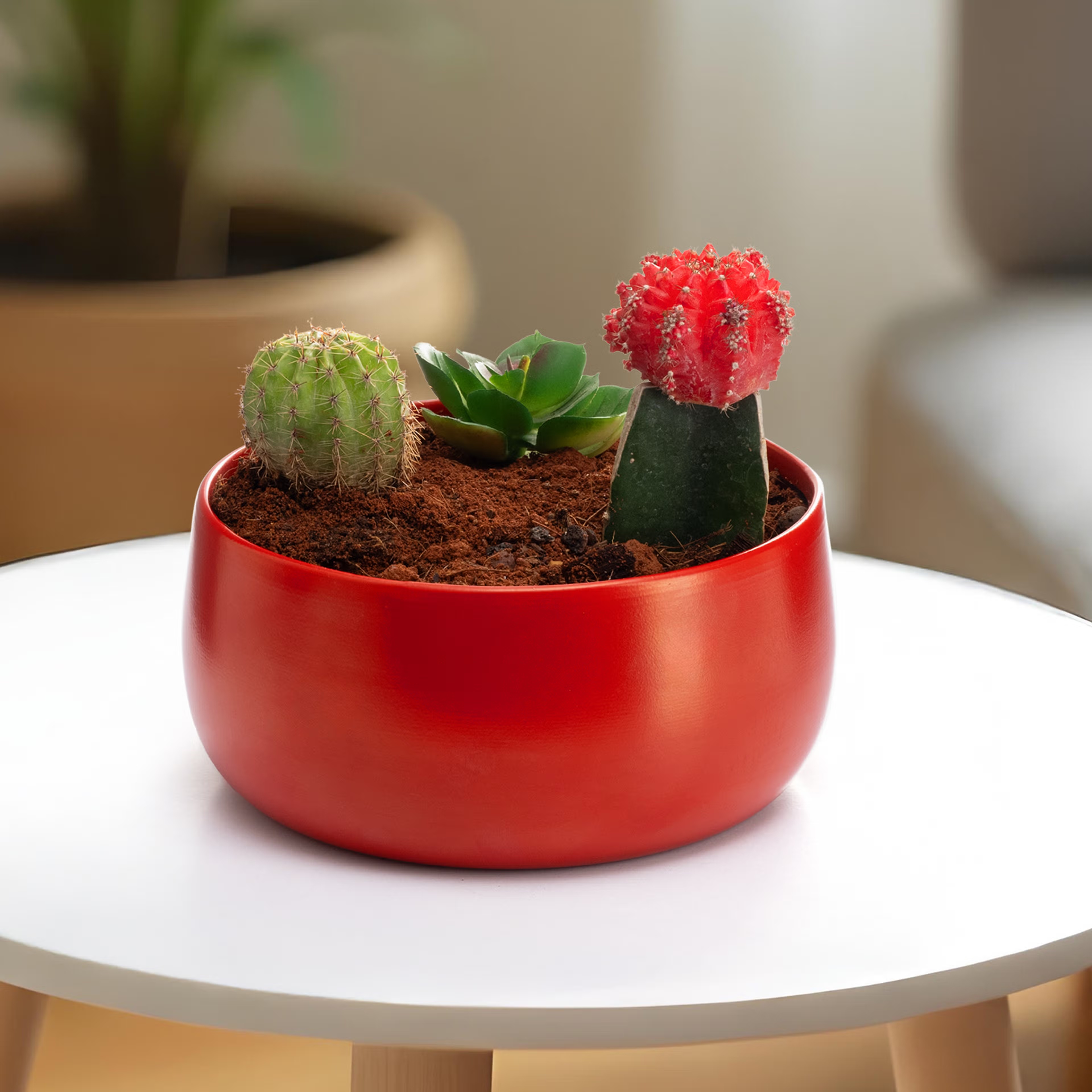 Versatile Metal Garden Pot | Floor & Table Planter | Indoor & Outdoor Use | Cherry Red | Foliage Metal, Red, Set of 1